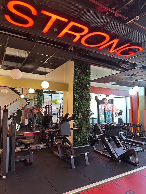 Elfit Women Gym