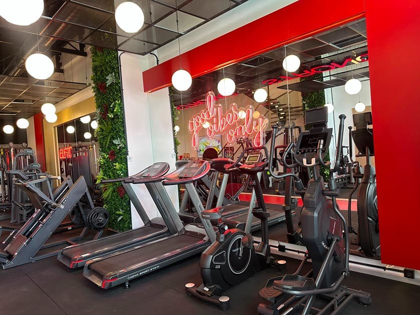 Elfit Women Gym