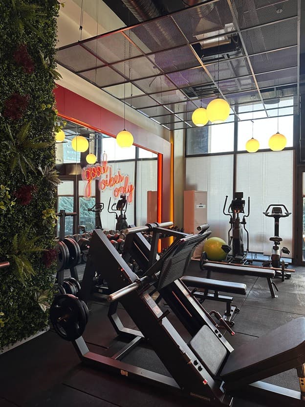Elfit Women Gym