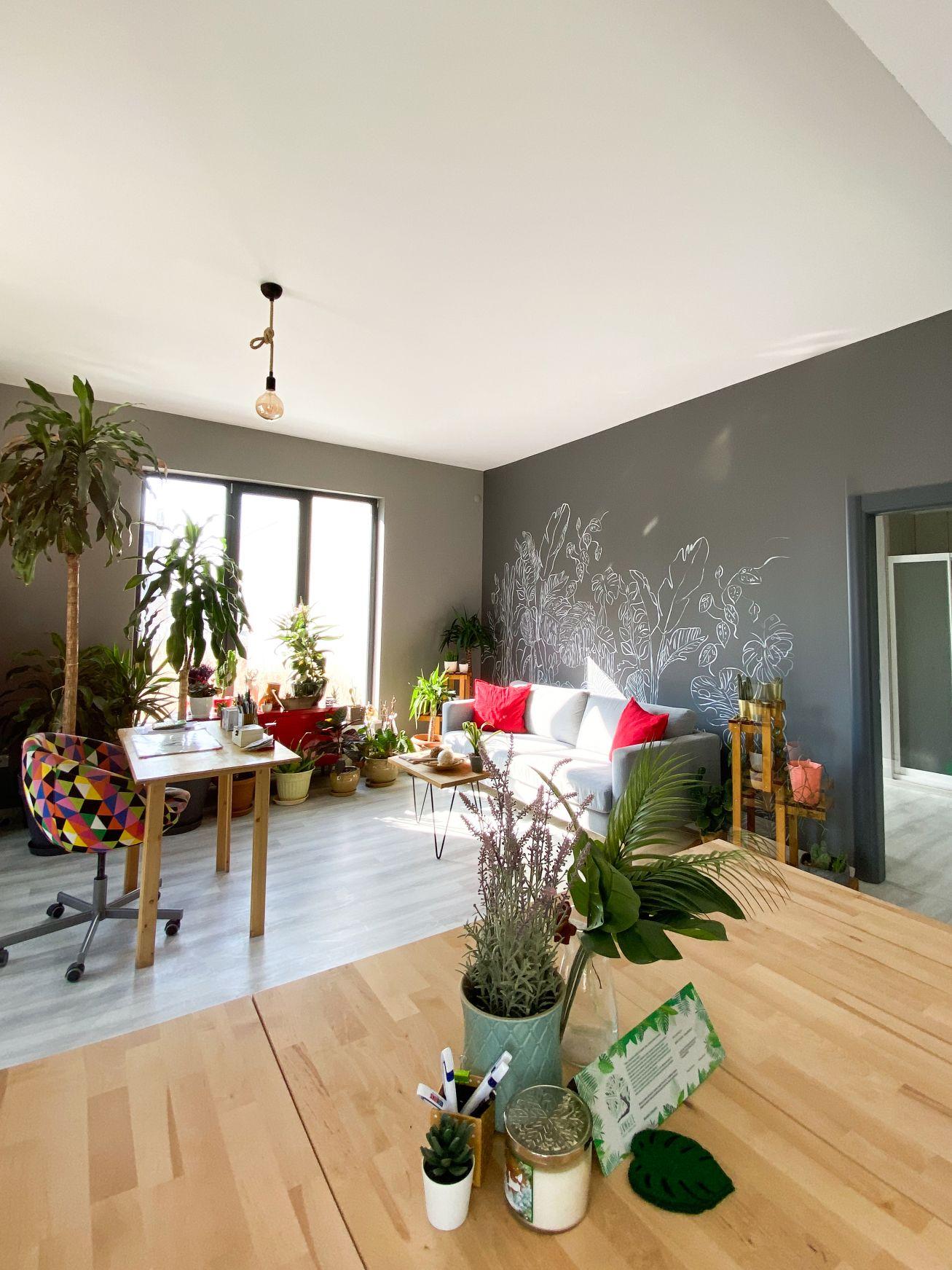 Jungle Pilates Training Studio - Personal Training