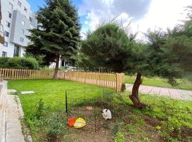 Force Crossbox - 11. Fotoğraf Force Crossbox - 11. Fotoğraf