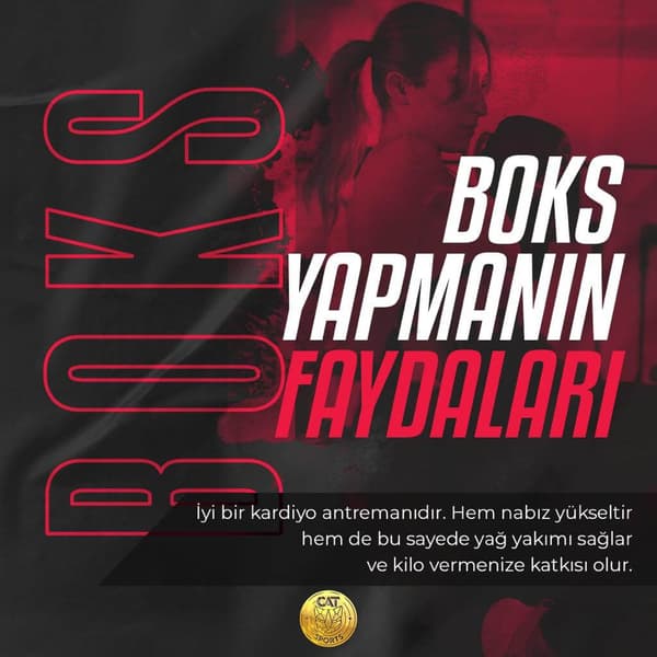 Cat Sports - 8. Fotoğraf Cat Sports - 8. Fotoğraf