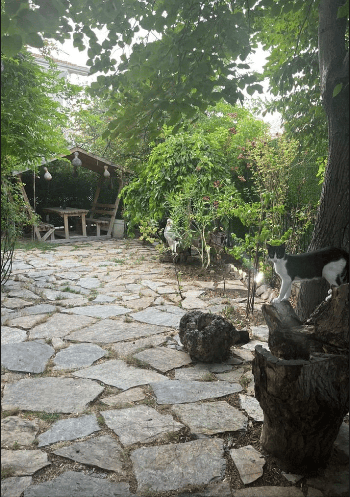 Mead Boutique Sports  - Batıkent Aletli Pilates - 2. Fotoğraf