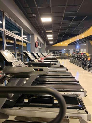 Dolphin Sports Club Dolphin Sports Club