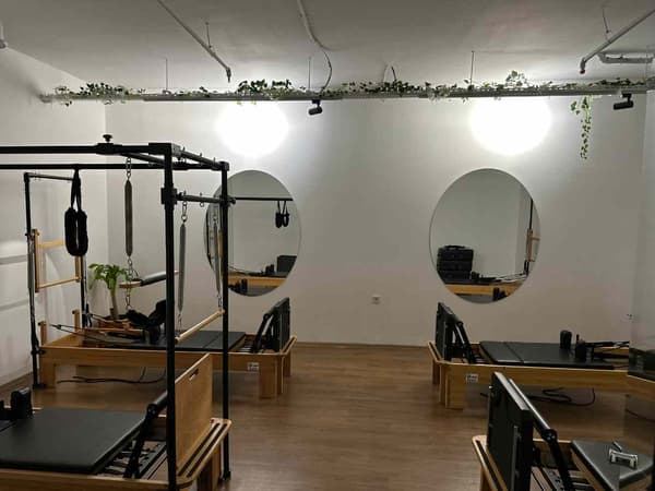 Cat GYM - 18. Fotoğraf