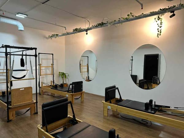 Cat GYM - 20. Fotoğraf