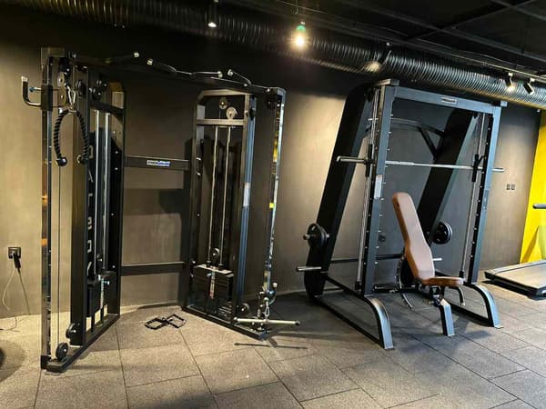 Cat GYM - 7. Fotoğraf