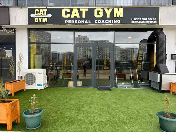 Cat GYM - 8. Fotoğraf
