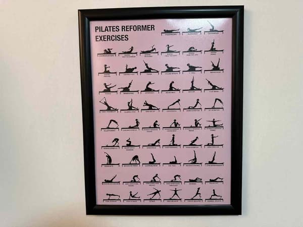 Cat GYM - 21. Fotoğraf
