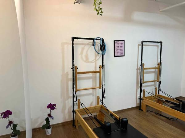 Cat GYM - 14. Fotoğraf