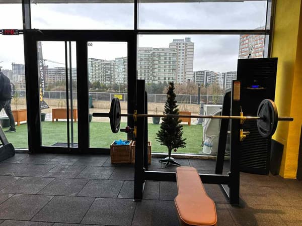 Cat GYM - 9. Fotoğraf