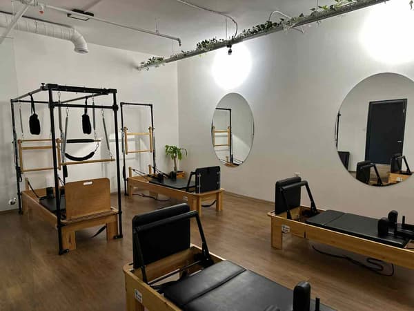 Cat GYM - 22. Fotoğraf