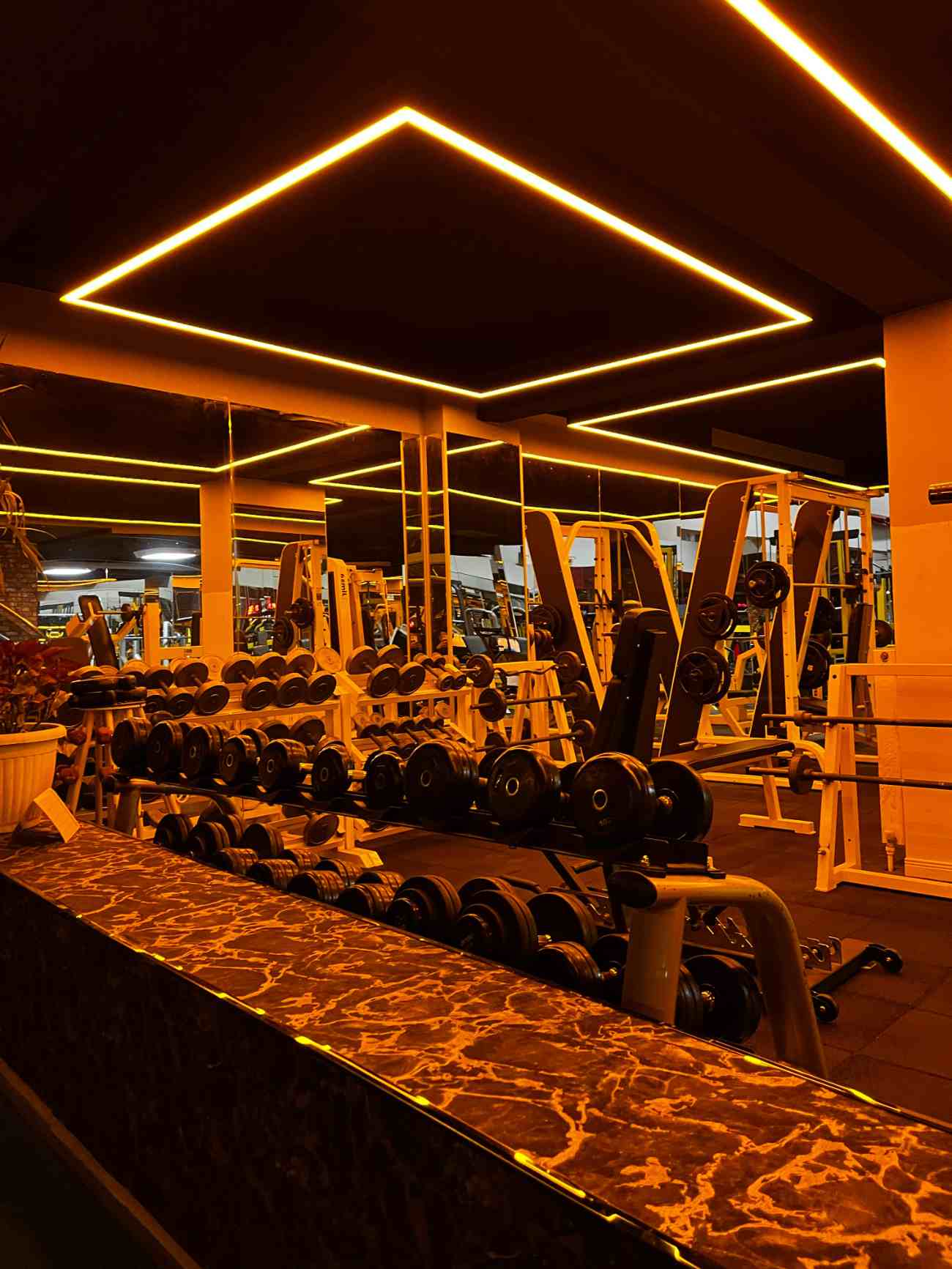 Sport Club - 100. Yıl  Cardio Trainer - 2. Fotoğraf